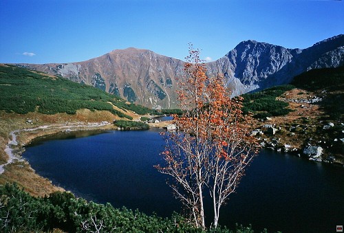 img00013.jpg