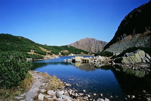 img00014.jpg