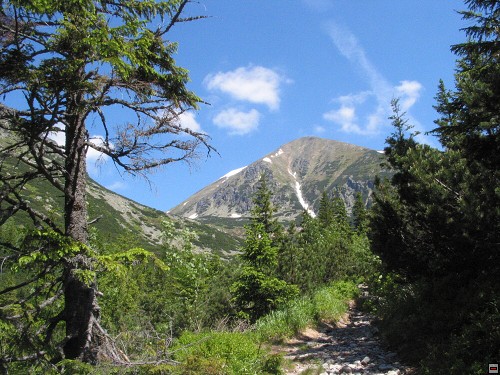 img00020.jpg