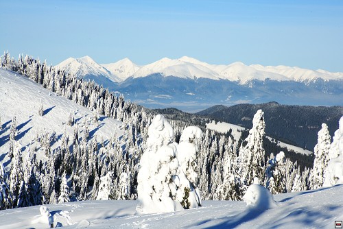img00024.jpg