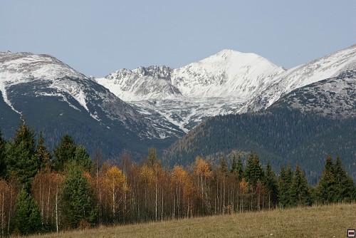 img00038.jpg