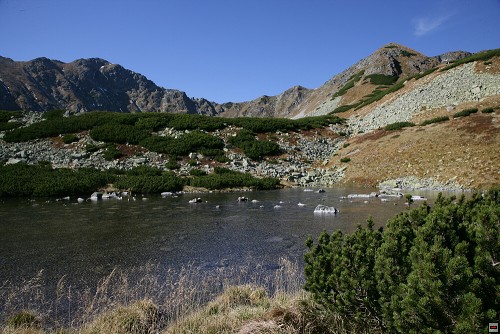 img00042.jpg