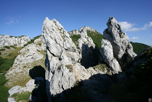 img00047.jpg