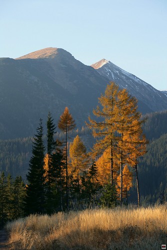 img00049.jpg