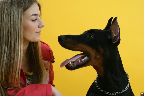 img00008.jpg