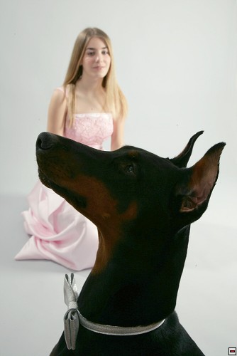 img00010.jpg