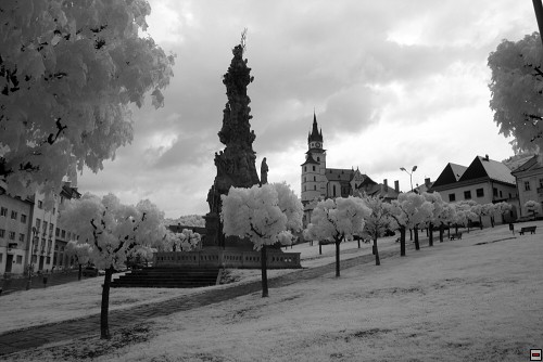 img00010.jpg