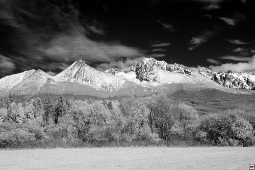 img00070.jpg