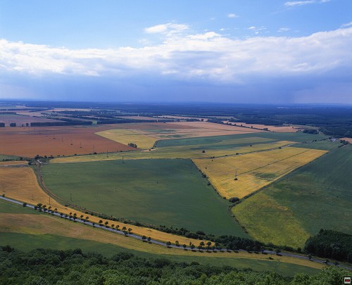 img00002.jpg