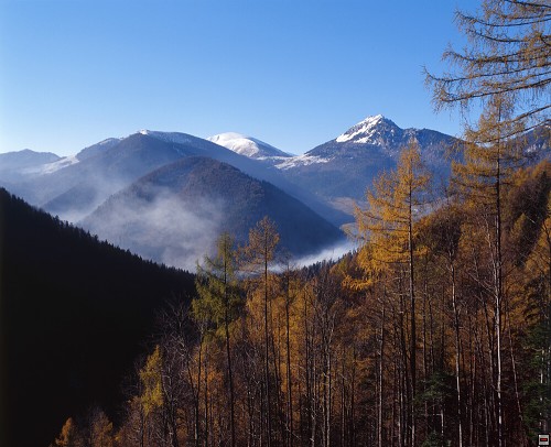 img00006.jpg