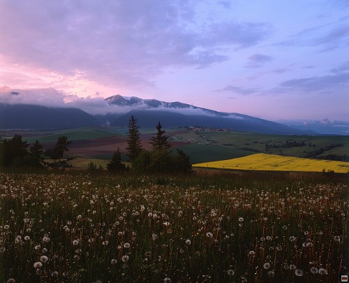 img00013.jpg