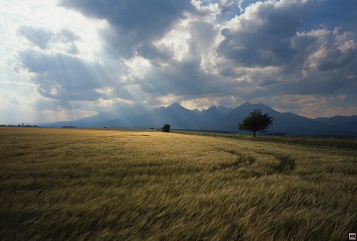 img00015.jpg