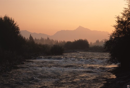 img00016.jpg