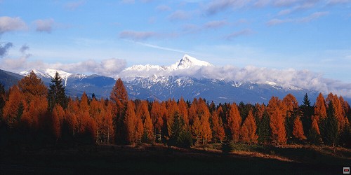 img00018.jpg