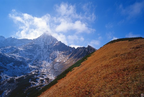 img00027.jpg