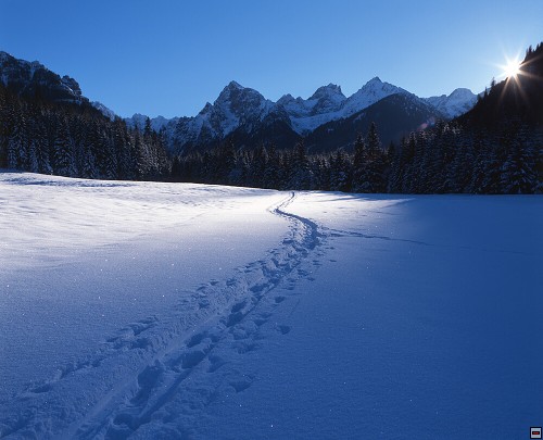 img00030.jpg