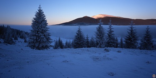 img00036.jpg