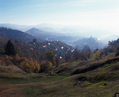img00039.jpg