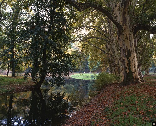 img00046.jpg