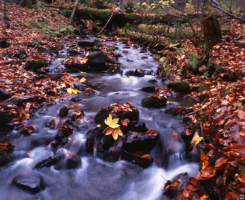 img00048.jpg