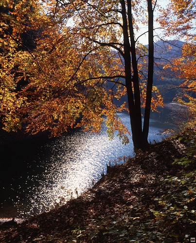 img00049.jpg