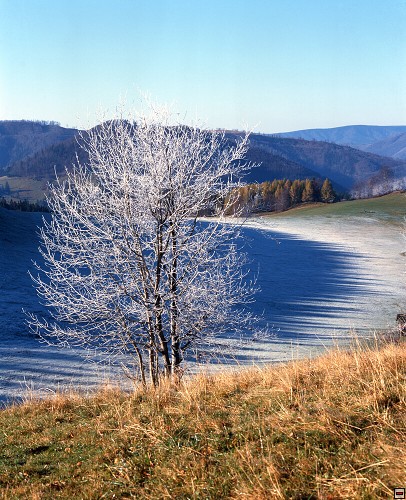 img00052.jpg