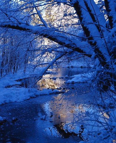 img00058.jpg