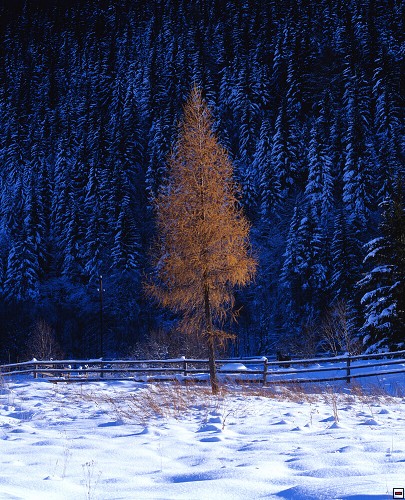 img00059.jpg