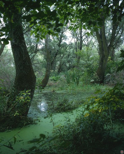 img00065.jpg
