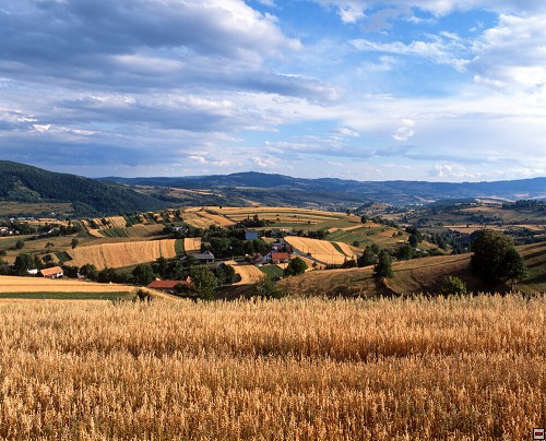 img00066.jpg