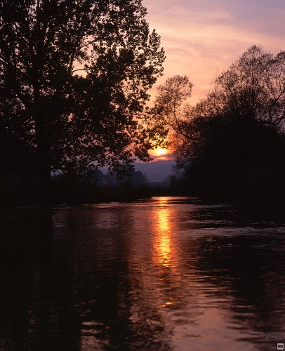 img00067.jpg