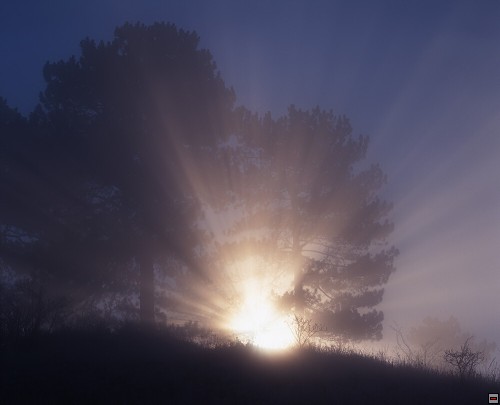 img00078.jpg