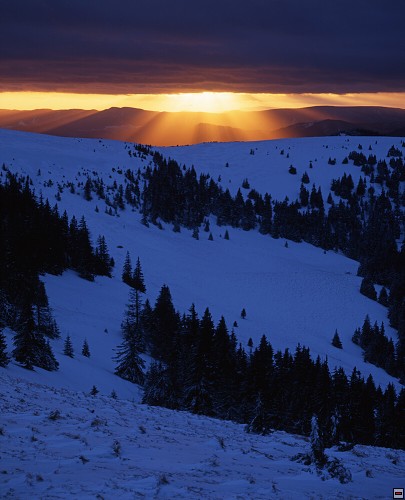 img00082.jpg