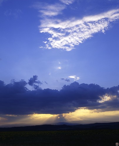 img00084.jpg