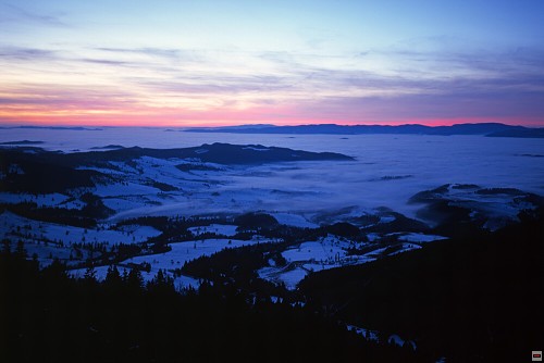 img00087.jpg