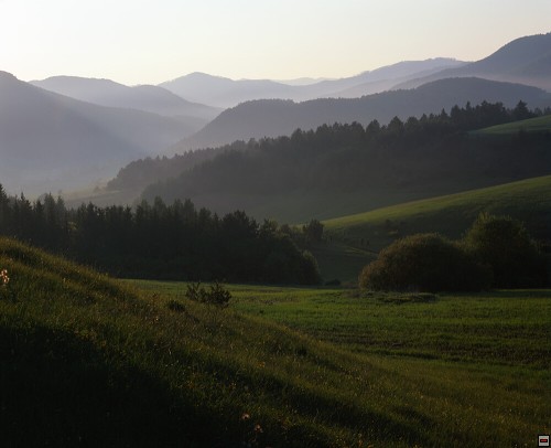 img00089.jpg