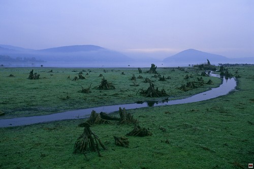 img00092.jpg