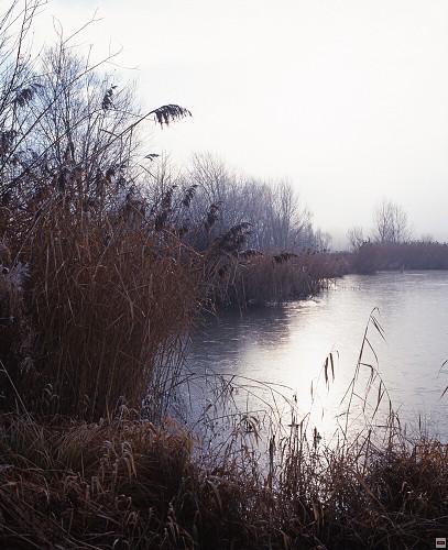 img00093.jpg