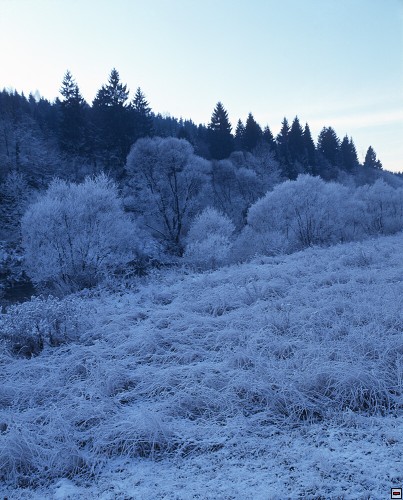 img00094.jpg