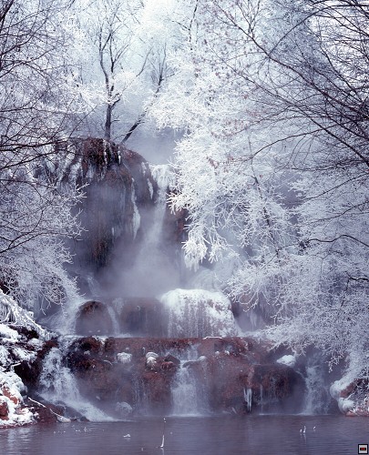 img00095.jpg