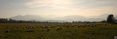 img00106.jpg