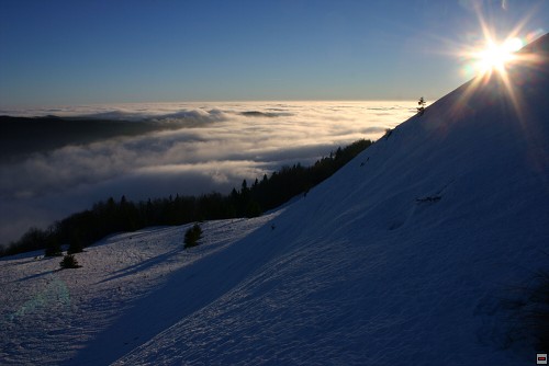 img00107.jpg