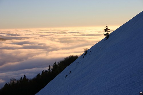 img00108.jpg
