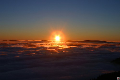img00109.jpg