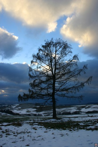 img00112.jpg