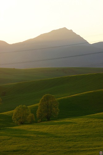 img00115.jpg