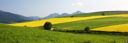 img00116.jpg