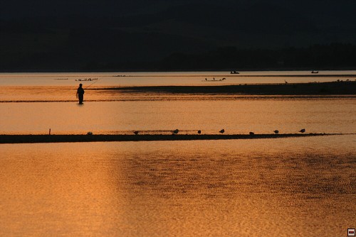 img00119.jpg