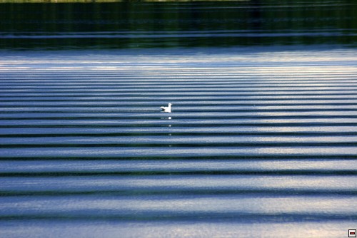 img00121.jpg