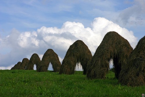 img00122.jpg